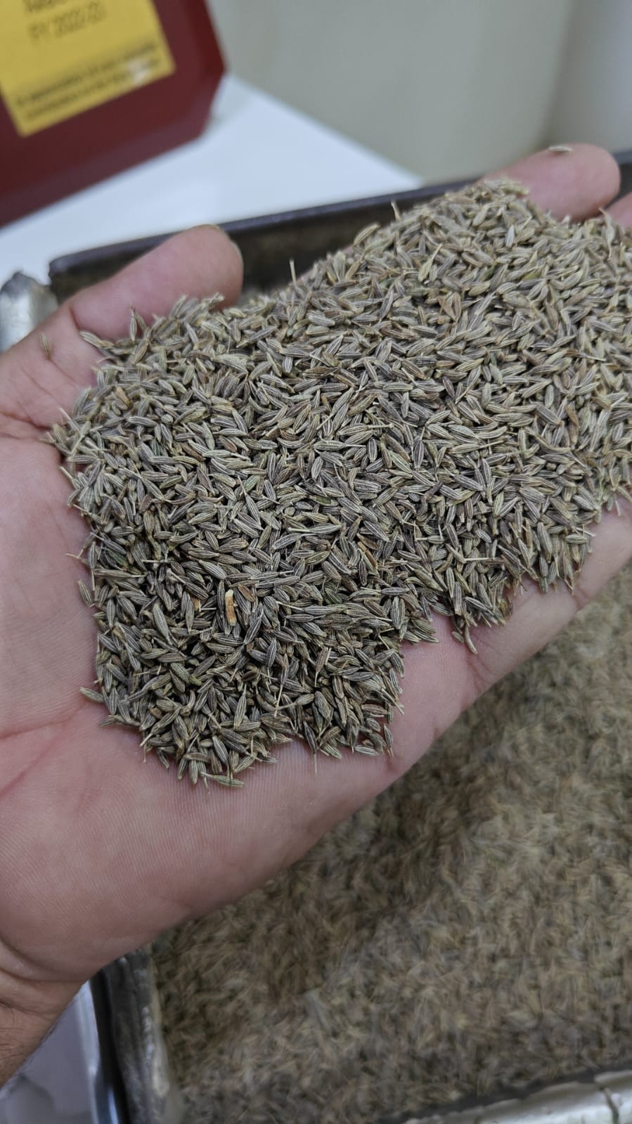 Cumin Seeds